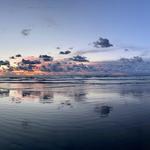 Goals Check-In ⛳️