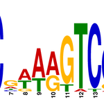 Finding Hidden Messages In DNA